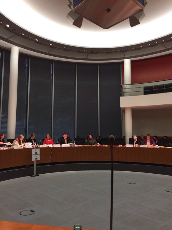 Vice-Chairman of the OSCE SMM Alexander Hug in the Bundestag: 90% of the territories, to which we do not have access, under the control of the separatists 