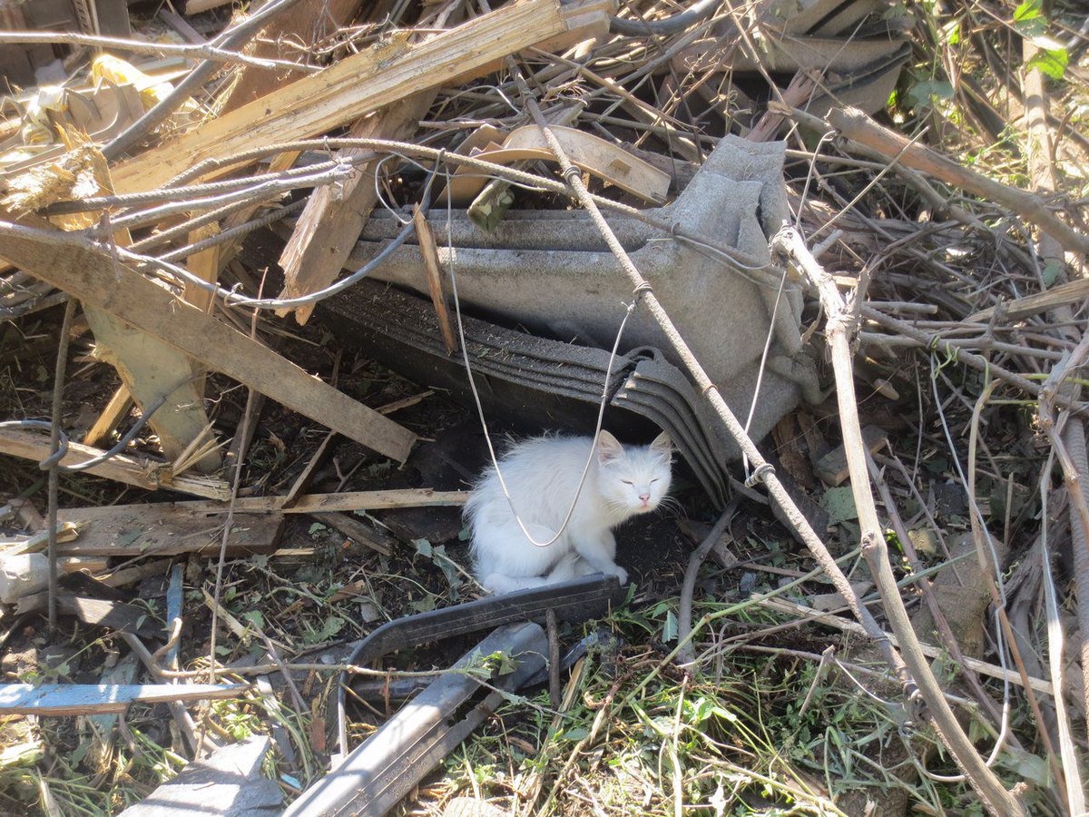 Donetsk @hyeva_maryinka Aftermath of night shelling, Kuybyshevskyi ds, Lozovskyi settlement  
