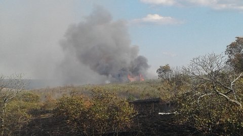 Massive wildfire in Donetsk region 100% contained