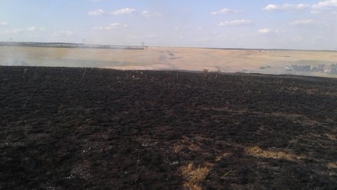 Massive wildfire in Donetsk region 100% contained