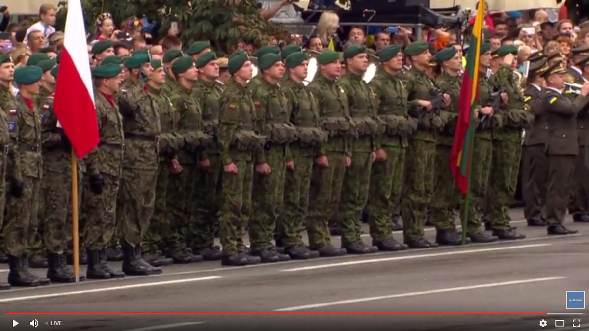 #UKRLITPOL International brigade. Ukraine-Lithuania-Poland  