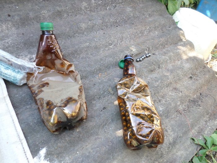 SBU foiled terror plot in Mariupol, seized explosives