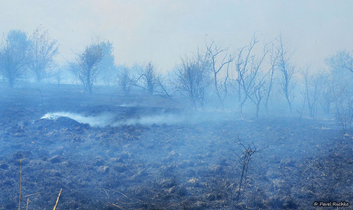 Fires in occupied Crimea, near Kurortnoe village