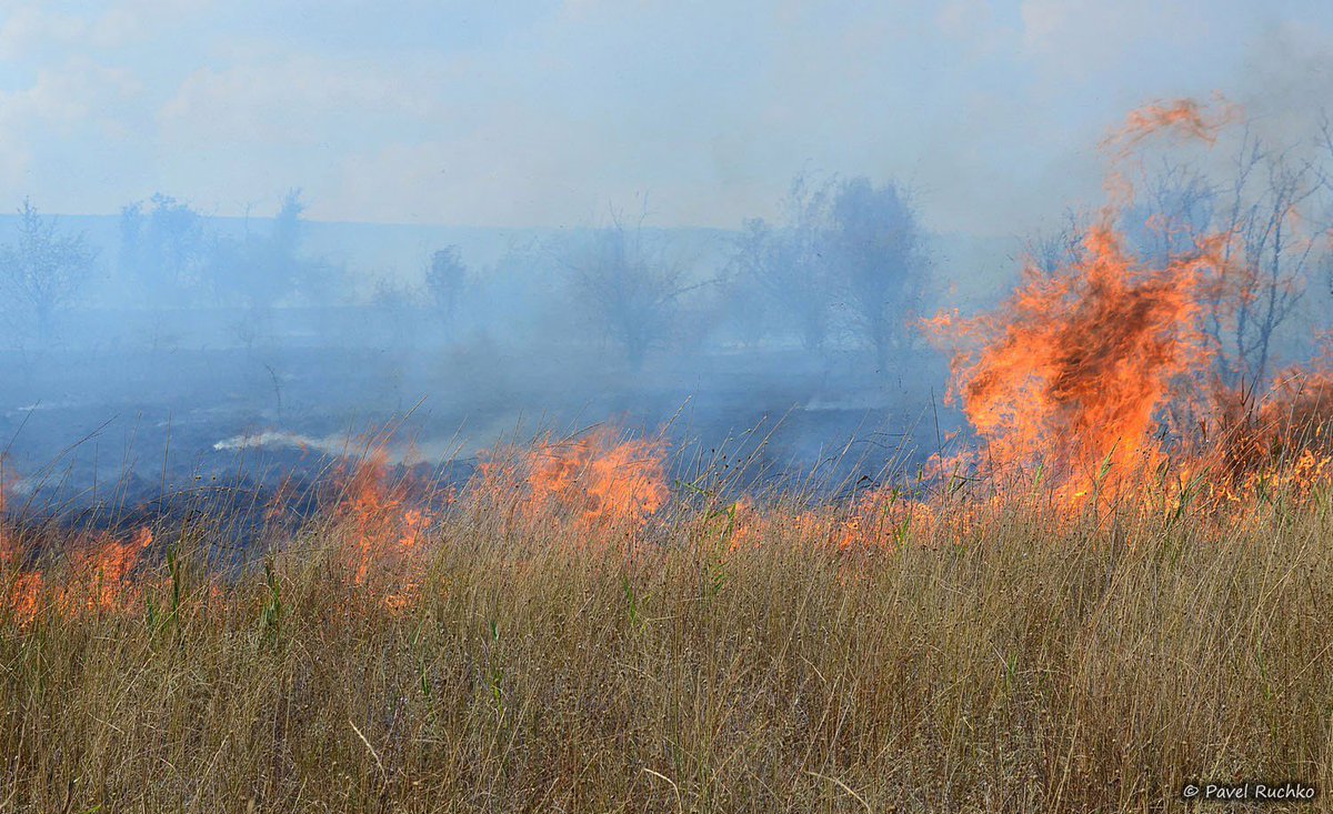 Fires in occupied Crimea, near Kurortnoe village