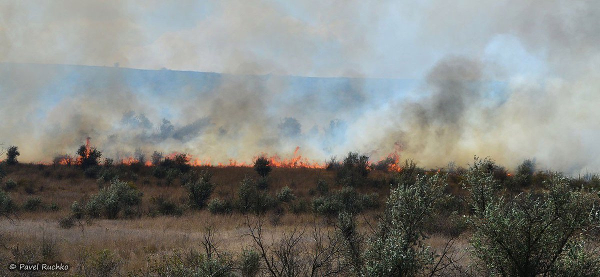Fires in occupied Crimea, near Kurortnoe village
