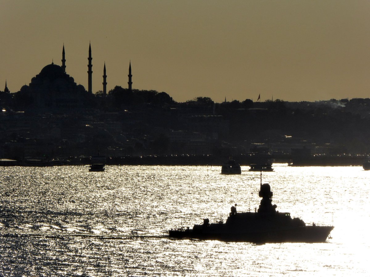 Russian Navy's Buyan-M Class (Prj 21631) Corvettes Zeleni Dol 602  and  Serpukhov 603 are northbound on the Bosphorus  