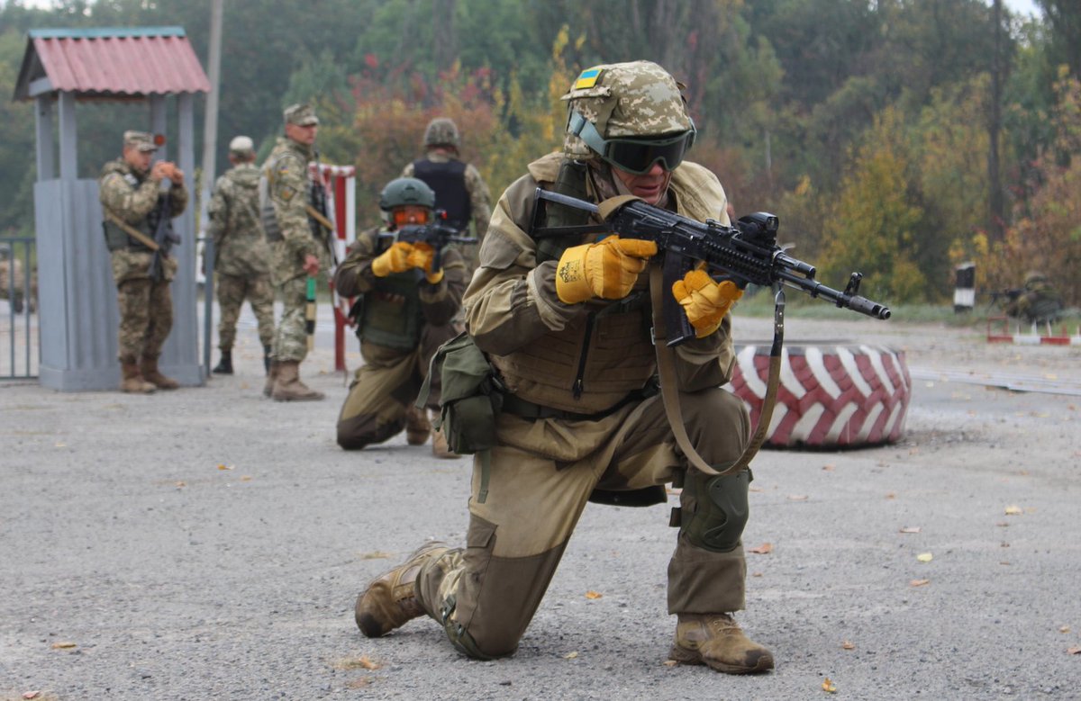 Col. Motuzyanyk: In Dnipropetrovsk region, UA Marines performed training  