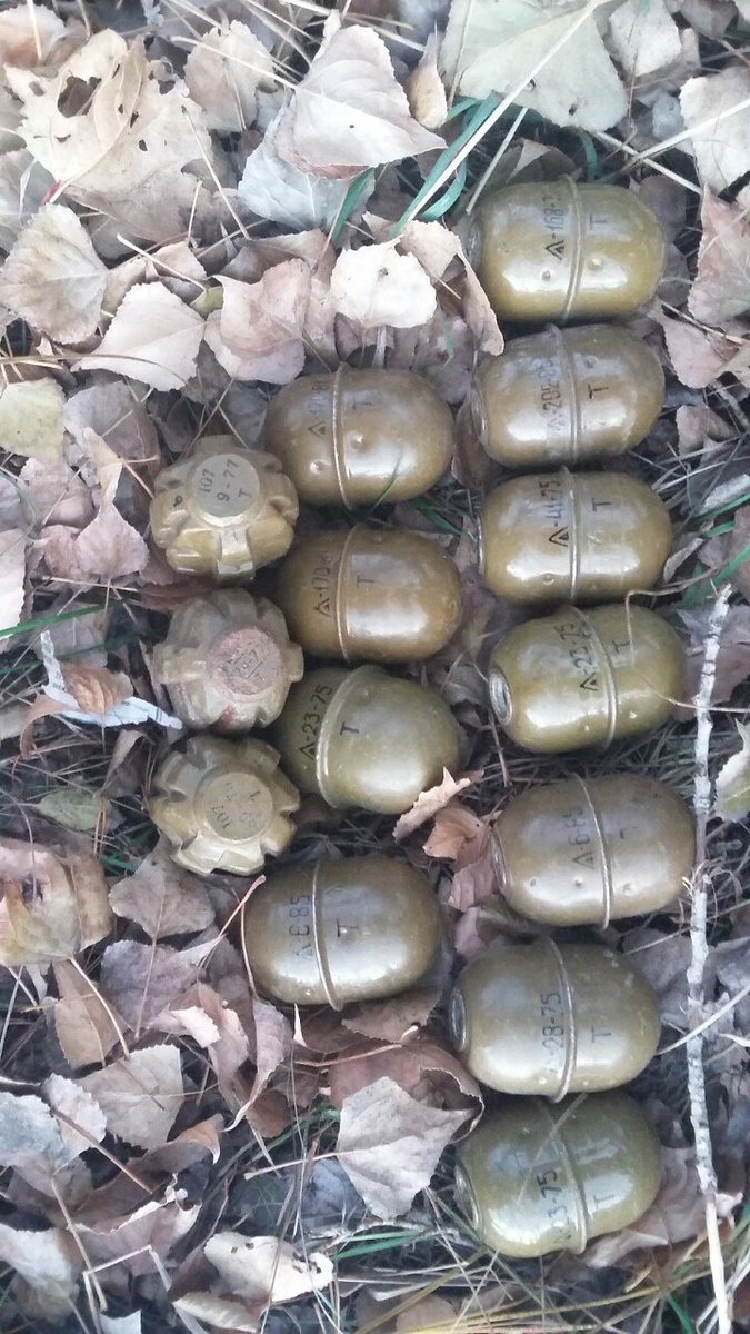 SBU seized cache of ammunition near Horlivka