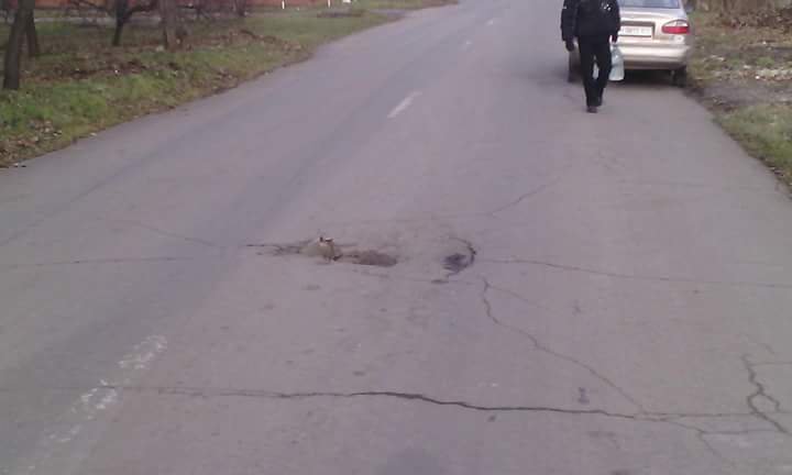 Krasnohorivka photos: GRAD missiles parts just on the road