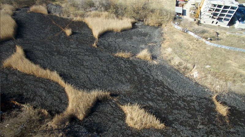 Donetsk Kalininskyi: aftermath of recent reeds blaze  