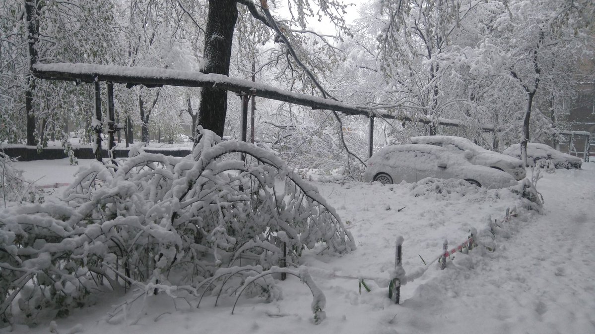 Fallen trees in Dnipro everywhere, mayor Filatov estimates number at 2600
