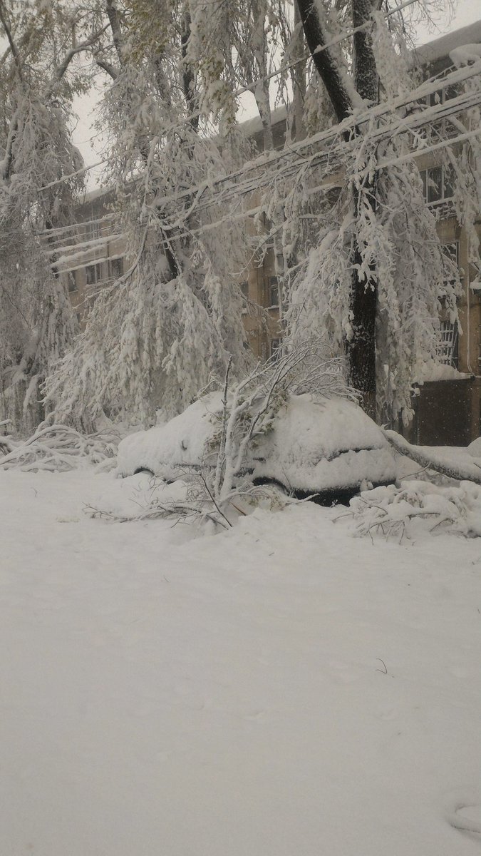 Winter storm hit Chisinau