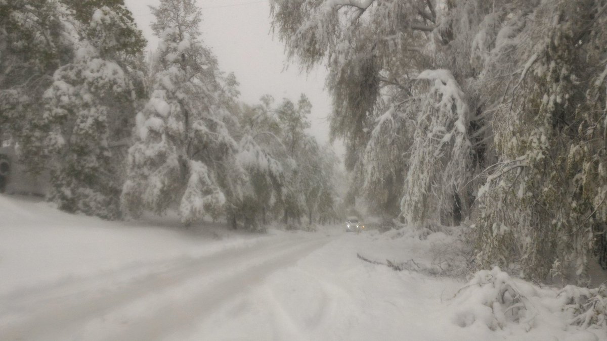 Winter storm hit Chisinau