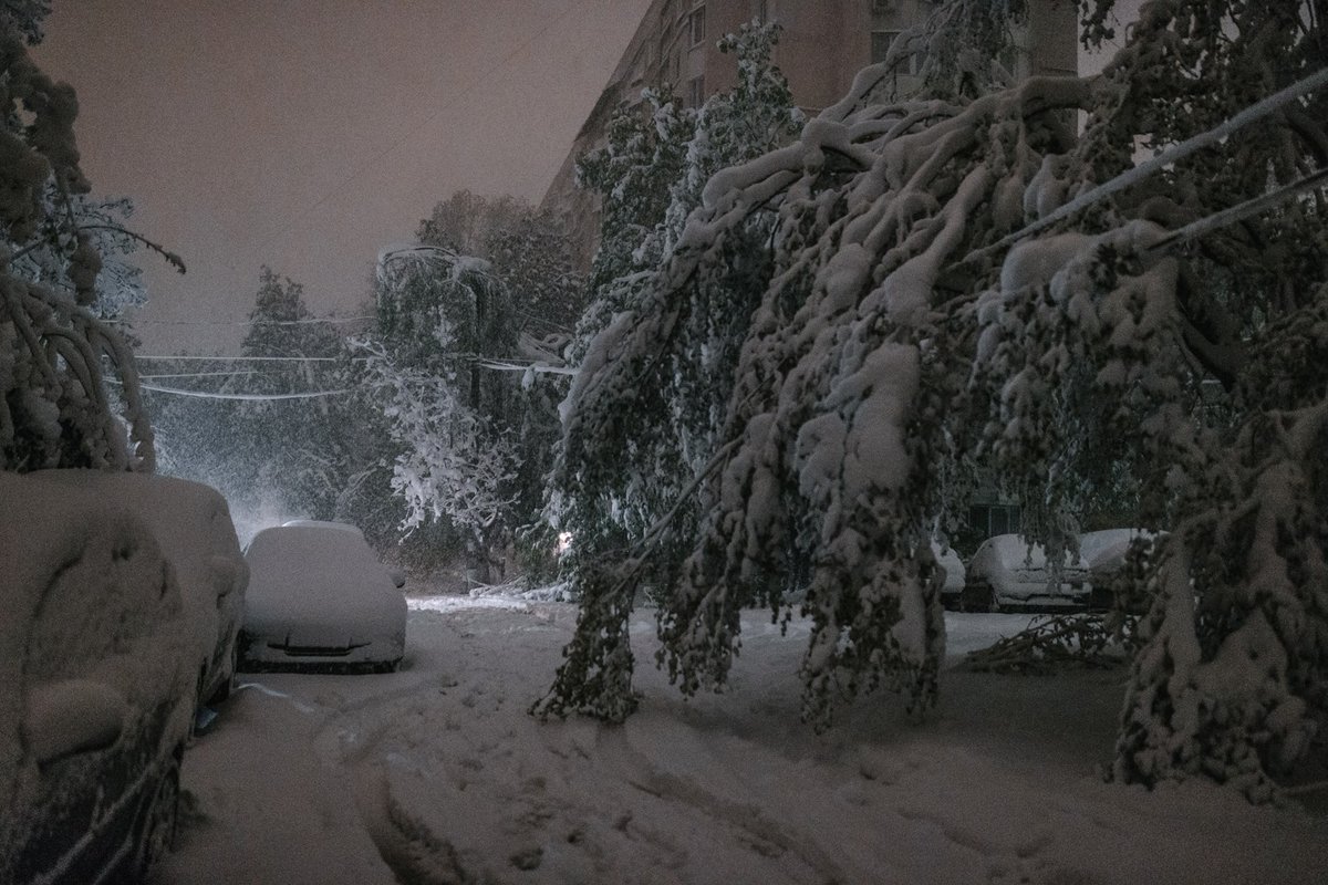 Moldova declared state of emergency as heavy snowfall blocks roads  and  probably killed this year's harvest 