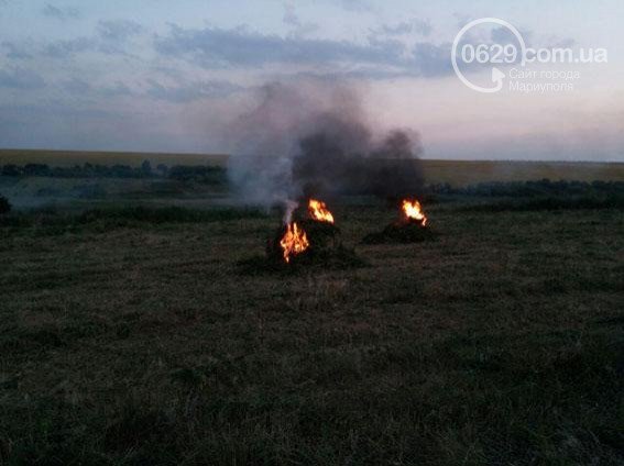 Near Mariupol police and border guard destroyed 10Ha of hemp