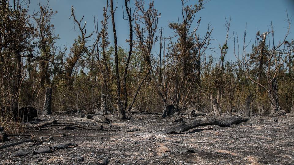 Photos: Yasinuvata checkpoint