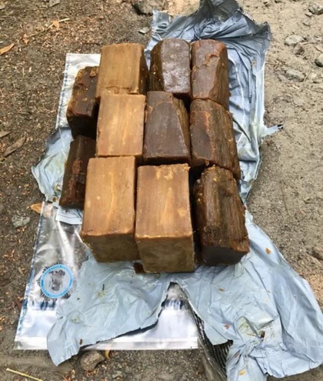 Cache of explosives was found in Kyiv's Hydropark 