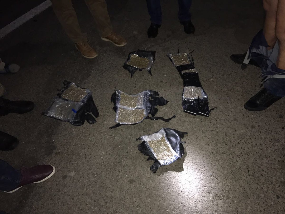 In Transcarpathia, the security service stopped the activity of a group that organized the smuggling of drugs to the EU 