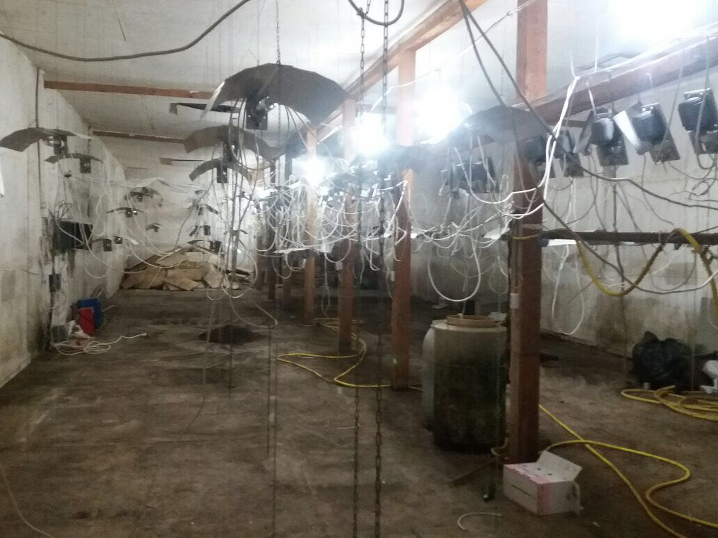 In Transcarpathia, the security service stopped the activity of a group that organized the smuggling of drugs to the EU 