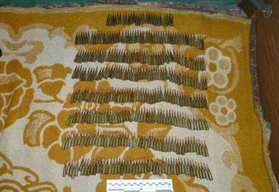 Police seized 2 grenades and 400 cartridges from local citizen in Torets'k 