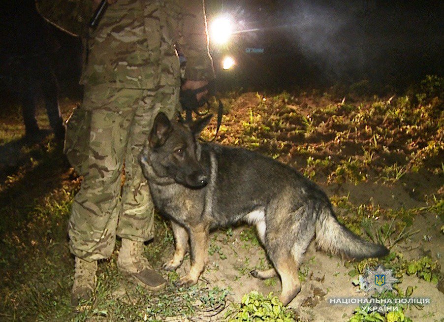 Policeman was wounded in grenade explosion during police operation in Floryne of Vinnytsa region