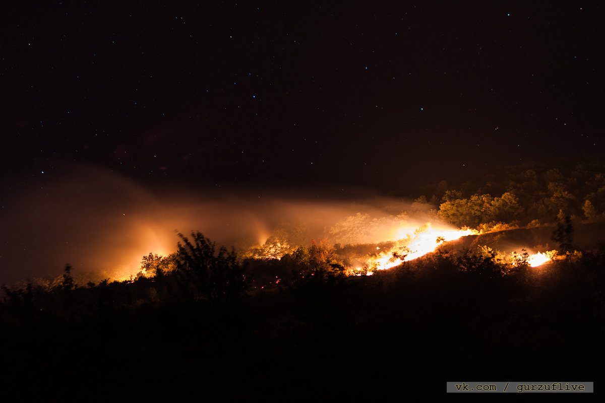 Fire in the wood near Krasnokamenka, occupied Crimea