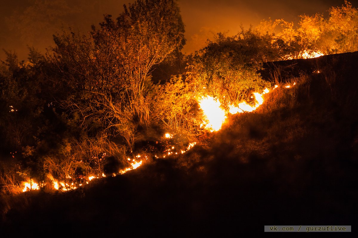 Fire in the wood near Krasnokamenka, occupied Crimea