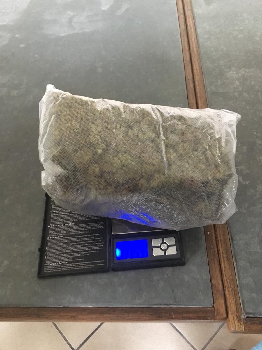 Ukrainian border guards K9 unit sniffed half of kg of illegal drugs on the way to Poland