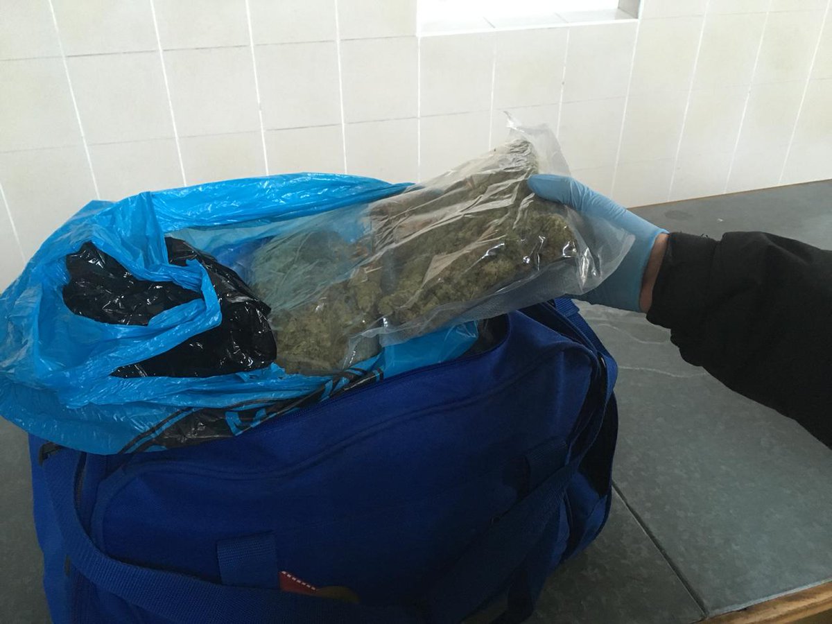 Ukrainian border guards K9 unit sniffed half of kg of illegal drugs on the way to Poland