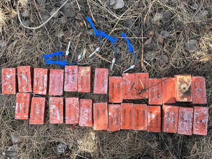 Security Service of Ukraine foiled an attempt to sale 6kgs of TNT and detonators by military engineer of unit in Rivne region