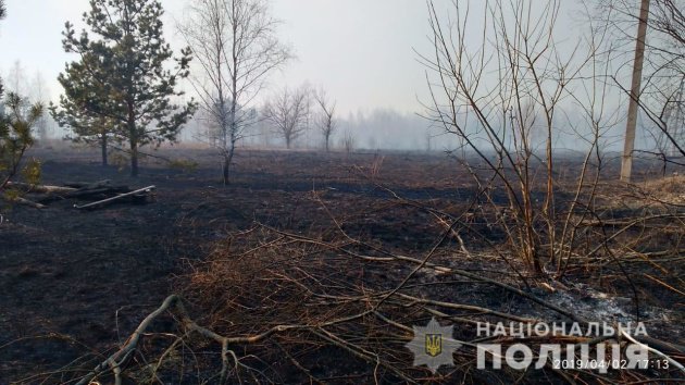 Big wildfire in Chornobyl exclusion zone