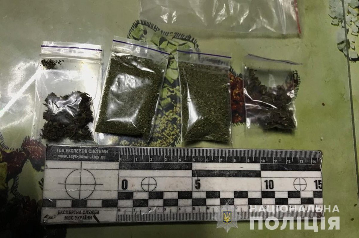 In Dnipropetrovs'k region police seized ammunition and illegal drugs during raid
