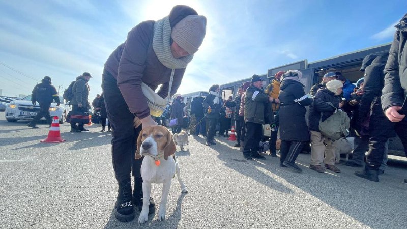 First buses evacuated from Bucha arrived at Bilohorodka