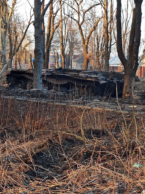 В лесах под Киевом уничтожена российская военная техника вместе с личным составом
