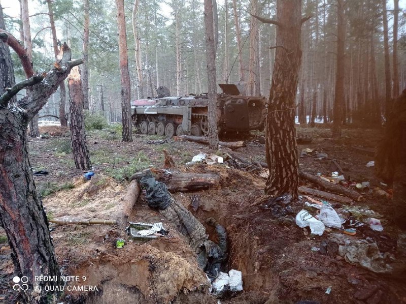 У лісах під Києвом знищено російську військову техніку разом із особовим складом