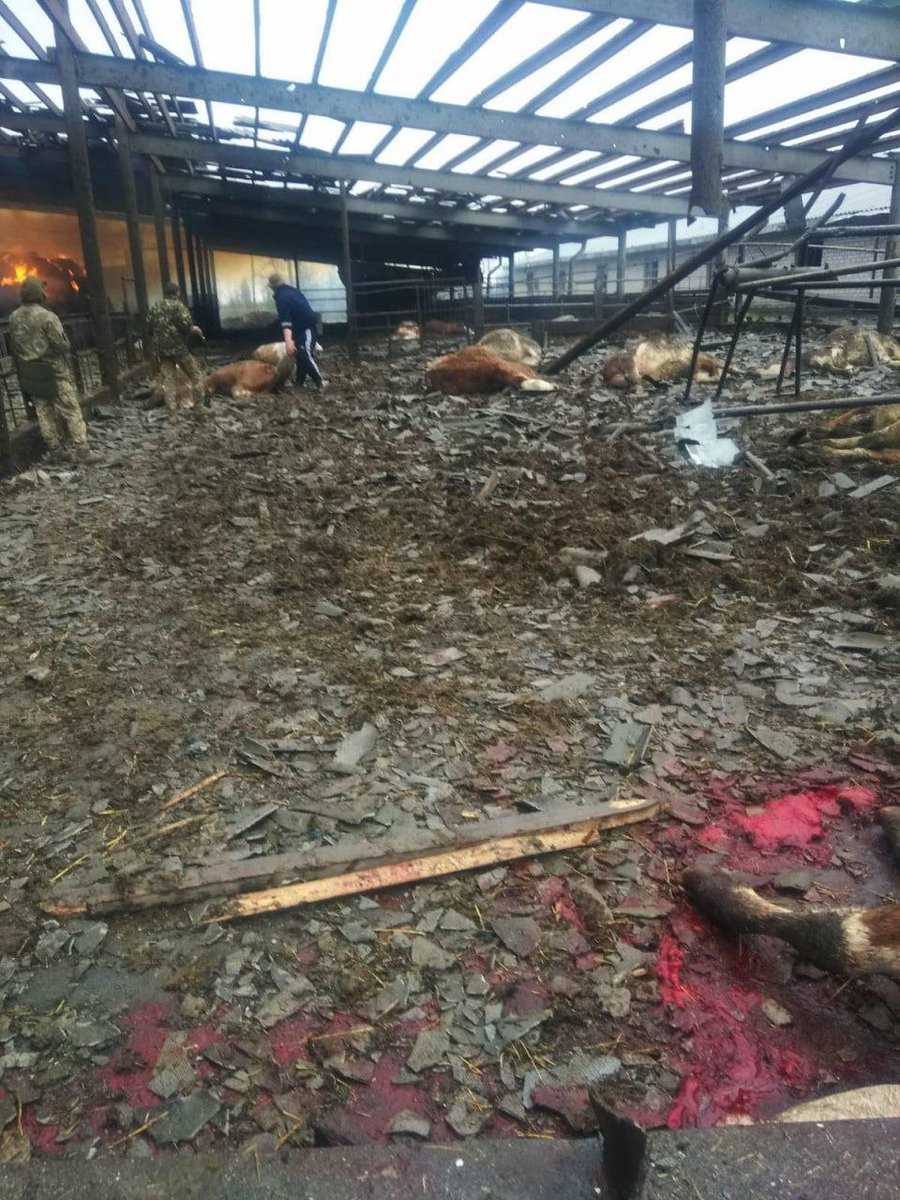 Российские войска обстреляли ферму в селе Александровка общины Лиман