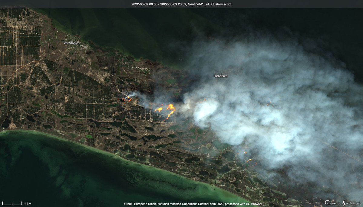 Kherson bölgesinin işgal altındaki bölümünde Karadeniz Biyosfer rezervinde yangınlar