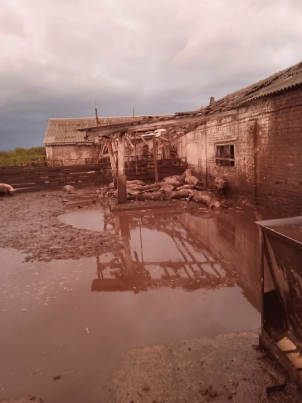 2 beschietingen in de regio Sumy vandaag, in totaal 52 granaten. In Volfyne werd een man gedood als gevolg van Russische beschietingen