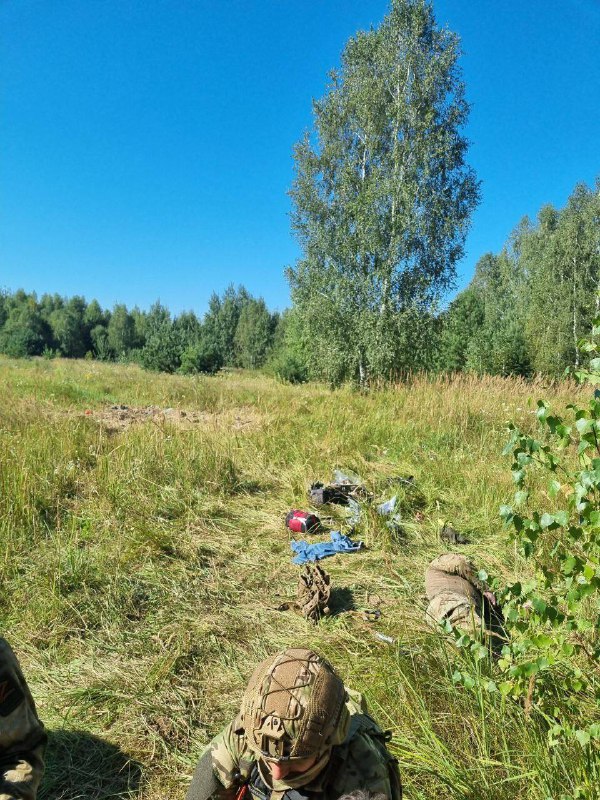 Le gouverneur de la région de Briansk affirme qu'un autre groupe de sabeurs a tenté d'entrer dans la région, mais a été détruit