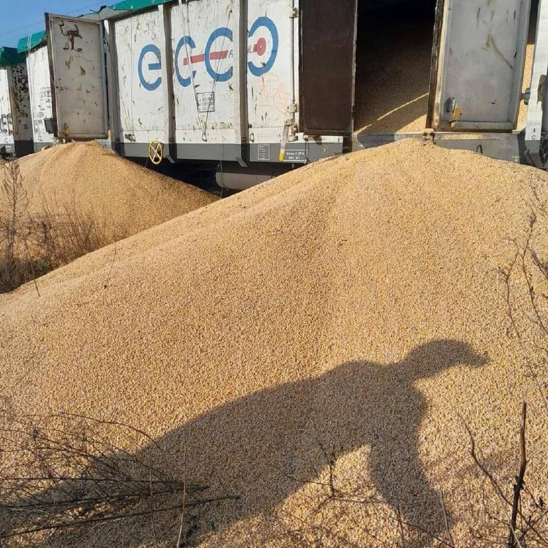 Z vozňov v poľskom Kotomieze sa vysypalo 150 ton ukrajinského obilia