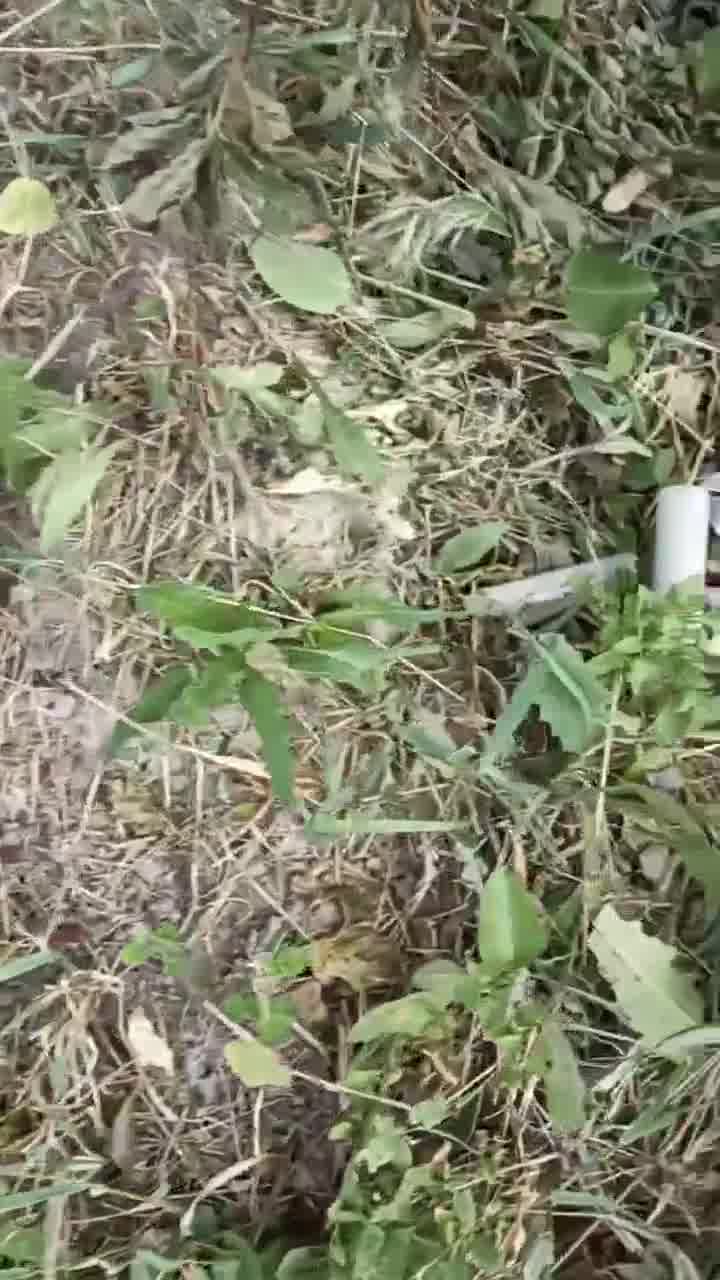 Destroços de um drone em Staromikhailovka