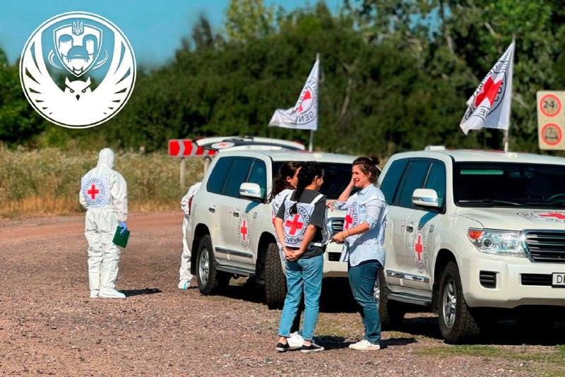 Həlak olan 250 ukraynalı müdafiəçinin cəsədi Ukraynaya qaytarılıb