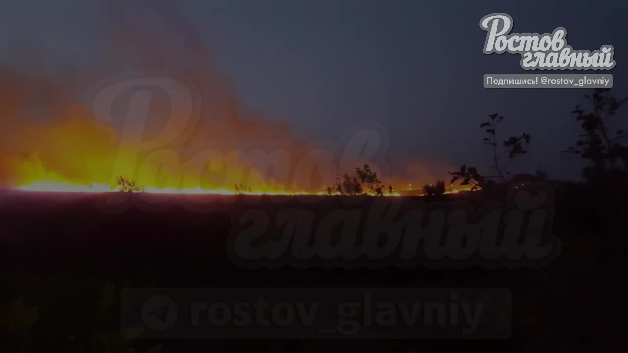 Waliyê herêma Rostovê îdia kir ku li nêzî Novoşakhtînska herêma Rostovê moşek hatiye xistin