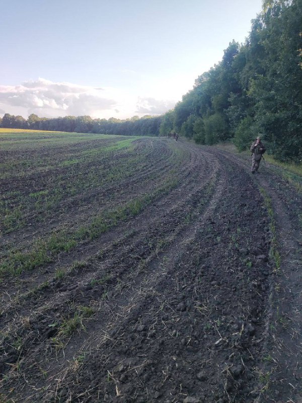 Russischer Blogger berichtet, dass 19 Soldaten der 810. Marineinfanteriebrigade, darunter 3 Verwundete, aus der Einkesselung in der Nähe des Dorfes Martynovka in der Region Kursk entkommen sind