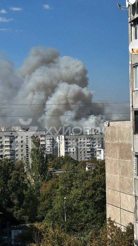 Grande incendio boschivo vicino a Kharkiv