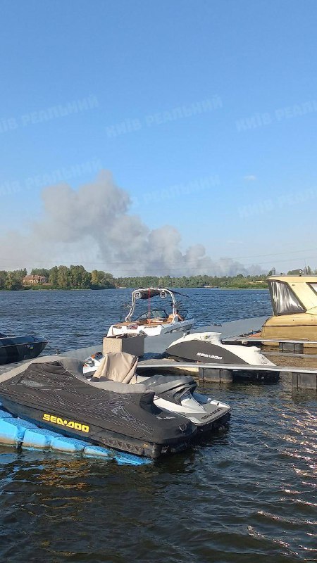 Grande incendio boschivo nel distretto di Vyshgorod nella regione di Kyiv