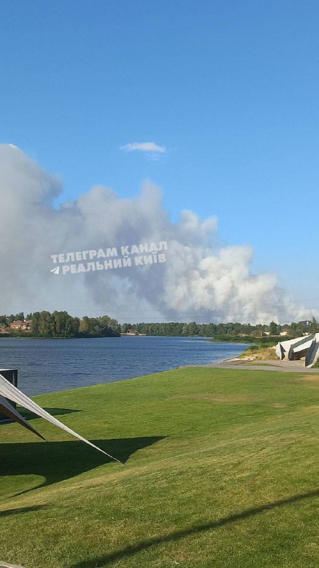 Велика лісова пожежа у Вишгородському районі Київської області