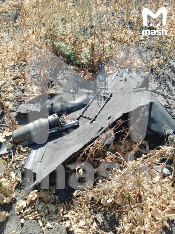 Kursk bölgesindeki Kolodnoye köyünde jet motorlu bir drone düşürüldü