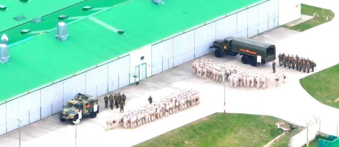 Unusual Activity at Russia's 4th Military Base in Tskhinvali. Russia has started training soldiers at its 4th military base in occupied Tskhinvali for deployment to Ukraine. This is the first and unprecedented instance of such a process, states Davit Katsarava, head of the Anti-Occupation Movement