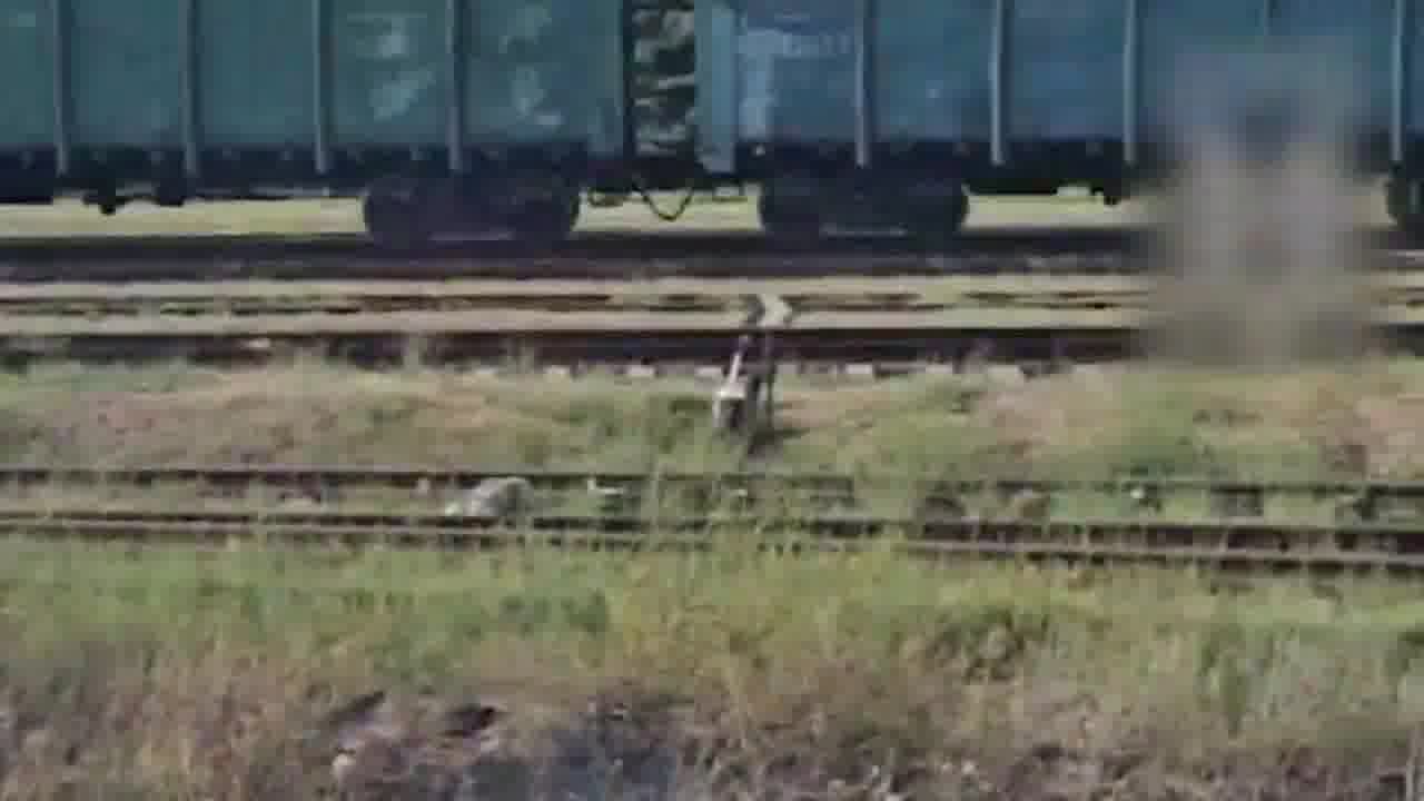 A Ukrainian drone was shot down in Tokmak.
